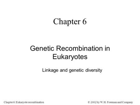 Genetic Recombination in Eukaryotes