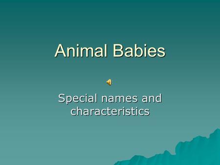 Animal Babies Special names and characteristics Rabbit babies.