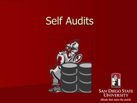 Self Audits. The Audit Process Audits are done Biannually (Feb. and Aug.). Audits are done Biannually (Feb. and Aug.). They are performed by persons as.