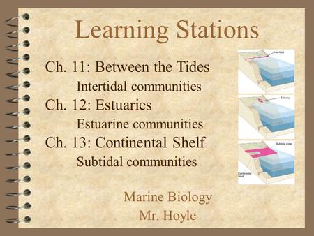 Marine Biology Mr. Hoyle