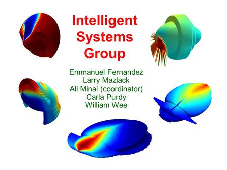 Intelligent Systems Group Emmanuel Fernandez Larry Mazlack Ali Minai (coordinator) Carla Purdy William Wee.