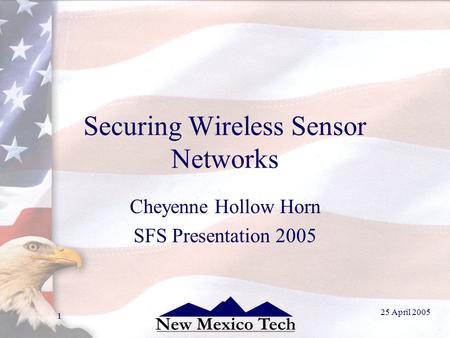 25 April 2005 1 Securing Wireless Sensor Networks Cheyenne Hollow Horn SFS Presentation 2005.