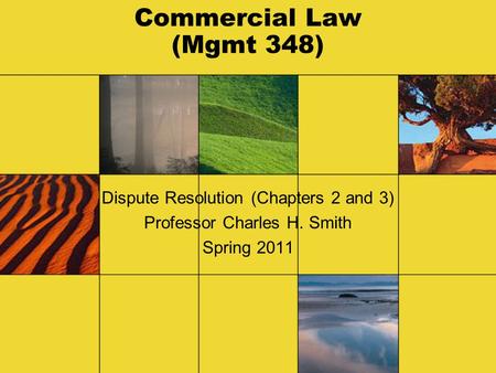 Commercial Law (Mgmt 348) Dispute Resolution (Chapters 2 and 3) Professor Charles H. Smith Spring 2011.