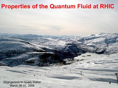 Properties of the Quantum Fluid at RHIC Strangeness in Quark Matter March 26-31, 2006.