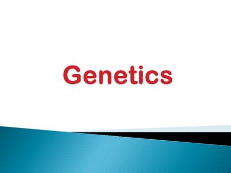  Genetics is the study of inheritance – the passing of traits from parent to offspring What is Genetics?
