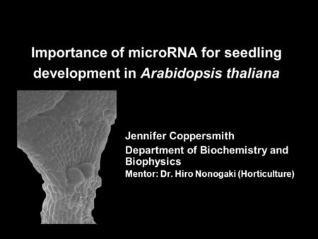 Importance of microRNA for seedling development in Arabidopsis thaliana Jennifer Coppersmith Department of Biochemistry and Biophysics Mentor: Dr. Hiro.