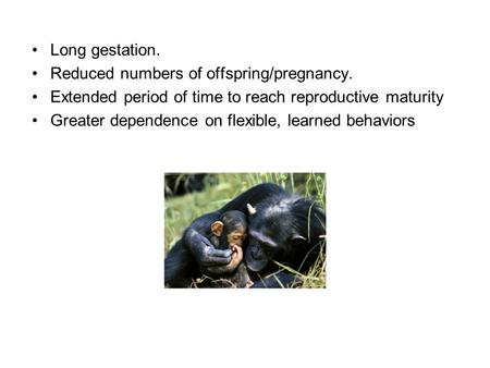 Long gestation. Reduced numbers of offspring/pregnancy. Extended period of time to reach reproductive maturity Greater dependence on flexible, learned.