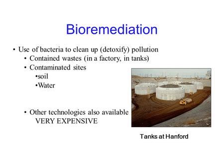 Bioremediation Use of bacteria to clean up (detoxify) pollution Contained wastes (in a factory, in tanks) Contaminated sites soil Water Other technologies.