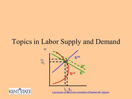 Lectures in Microeconomics-Charles W. Upton Topics in Labor Supply and Demand.