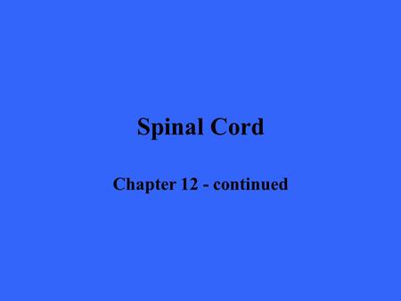 Spinal Cord Chapter 12 - continued.