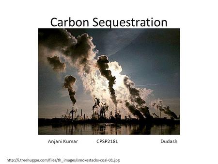 Carbon Sequestration Anjani Kumar CPSP218L Dudash