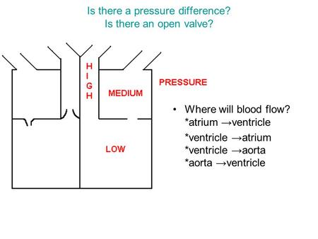 Is there a pressure difference? Is there an open valve? Where will blood flow? *atrium →ventricle *ventricle →atrium *ventricle →aorta *aorta →ventricle.