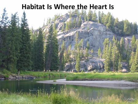 Habitat Is Where the Heart Is. What are some things we might want to learn about an animal? What does it eat? How long does it live? How many are there.