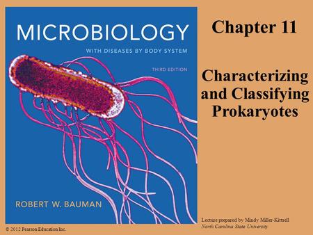 © 2012 Pearson Education Inc. Lecture prepared by Mindy Miller-Kittrell North Carolina State University Chapter 11 Characterizing and Classifying Prokaryotes.