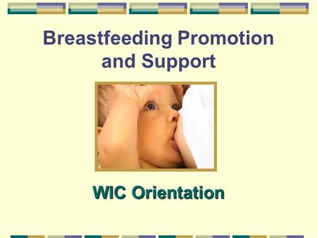 Breastfeeding Promotion and Support WIC Orientation.