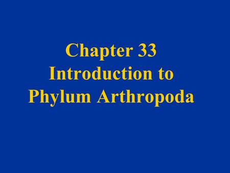Chapter 33 Introduction to Phylum Arthropoda