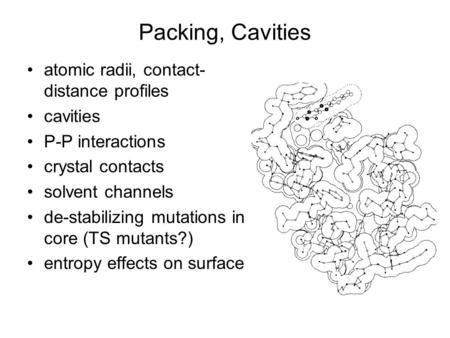 Packing, Cavities atomic radii, contact- distance profiles cavities P-P interactions crystal contacts solvent channels de-stabilizing mutations in core.