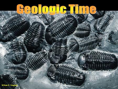 William E. Ferguson. Geologic Time A major difference between geologists and most other scientists is their attitude about time. A long time may not.