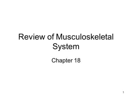 1 Review of Musculoskeletal System Chapter 18. 2 Muscle Skeletal muscle > 600 muscles in body Fascia –Epimysium – forms tendons at ends –Perimysium –