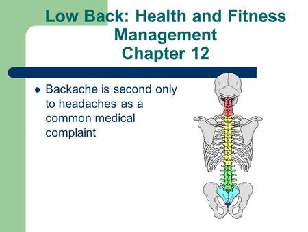 Low Back: Health and Fitness Management Chapter 12 Backache is second only to headaches as a common medical complaint.