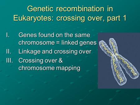 Genetic recombination in Eukaryotes: crossing over, part 1 I.Genes found on the same chromosome = linked genes II.Linkage and crossing over III.Crossing.