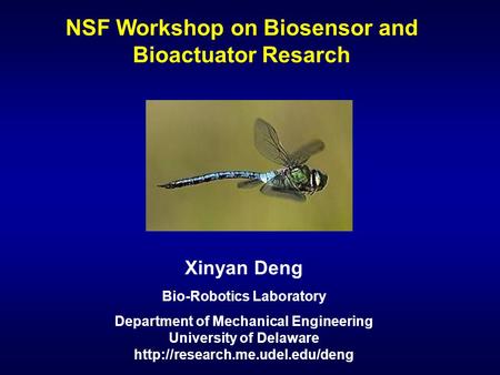 NSF Workshop on Biosensor and Bioactuator Resarch Xinyan Deng Bio-Robotics Laboratory Department of Mechanical Engineering University of Delaware