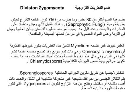 قسم الفطريات التزاوجية Division Zygomycota