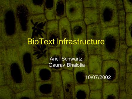 BioText Infrastructure Ariel Schwartz Gaurav Bhalotia 10/07/2002.