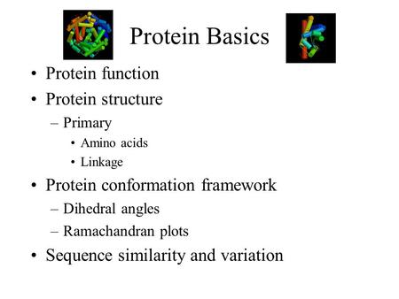 Protein Basics Protein function Protein structure –Primary Amino acids Linkage Protein conformation framework –Dihedral angles –Ramachandran plots Sequence.