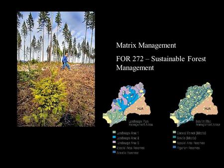 Matrix Management FOR 272 – Sustainable Forest Management.