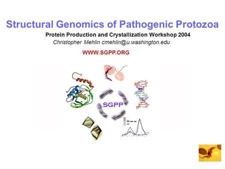 Structural Genomics of Pathogenic Protozoa Christopher Mehlin Protein Production and Crystallization Workshop 2004