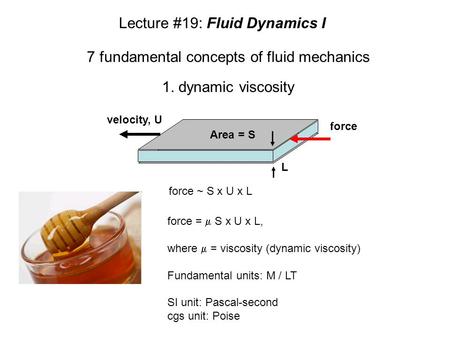 Lecture #19: Fluid Dynamics I