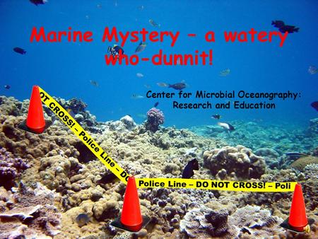 Marine Mystery – a watery who-dunnit! Center for Microbial Oceanography: Research and Education OT CROSS! – Police Line – DO Police Line – DO NOT CROSS!