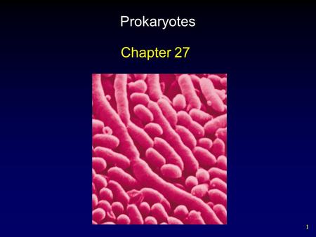 1 Prokaryotes Chapter 27. 2 Prevalence of Prokaryotes Prokaryotes are the oldest, abundant for over 2 billion years before the appearance of eukaryotes.