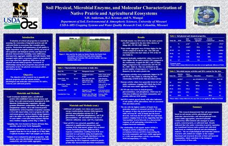 Soil Physical, Microbial Enzyme, and Molecular Characterization of Native Prairie and Agricultural Ecosystems S.H. Anderson, R.J. Kremer, and N. Mungai.