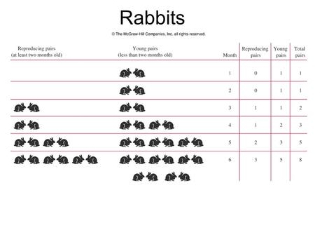 Rabbits. Rabbits: Month 1 MonthBusy Pairs Young Pairs Total Pairs 1011.