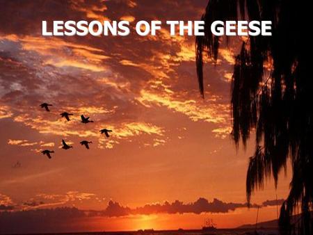 LESSONS OF THE GEESE. In the fall when you see geese heading south for the winter flying along in the V formation,