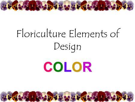 Floriculture Elements of Design COLORCOLORCOLORCOLOR.