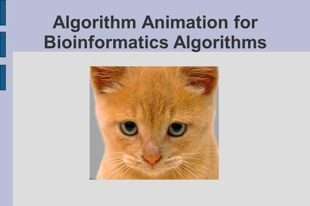 Algorithm Animation for Bioinformatics Algorithms.