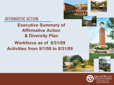 Executive Summary of Affirmative Action & Diversity Plan Workforce as of 8/31/09 Activities from 9/1/08 to 8/31/09.