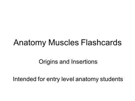 Anatomy Muscles Flashcards