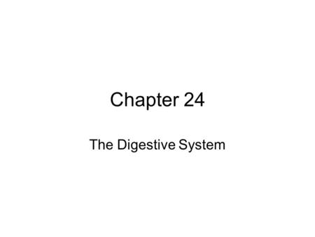 Chapter 24 The Digestive System.