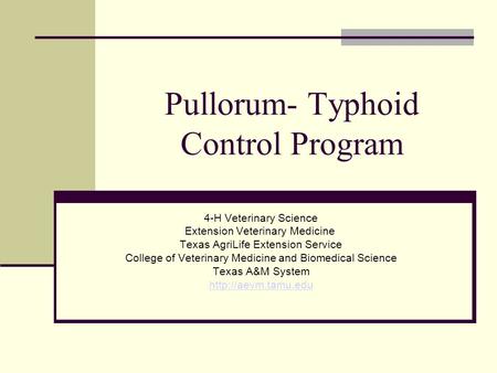 Pullorum- Typhoid Control Program 4-H Veterinary Science Extension Veterinary Medicine Texas AgriLife Extension Service College of Veterinary Medicine.