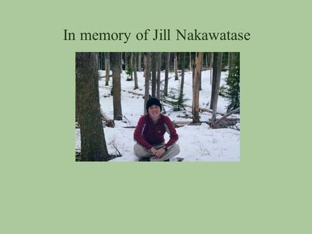 In memory of Jill Nakawatase. Beating the standard for heat, Seattle style By Eric Sorensen Seattle Times staff reporter Seventy degrees and no relief.