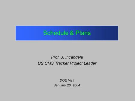Schedule & Plans Prof. J. Incandela US CMS Tracker Project Leader DOE Visit January 20, 2004.