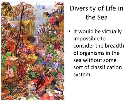 Diversity of Life in the Sea It would be virtually impossible to consider the breadth of organisms in the sea without some sort of classification system.