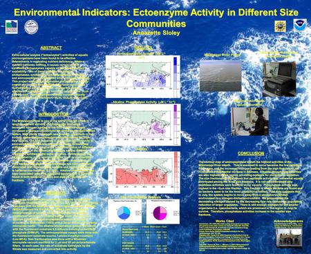 Environmental Indicators: Ectoenzyme Activity in Different Size Communities Annazette Sloley ABSTRACT Extra-cellular enzyme (“ectoenzyme”) activities of.