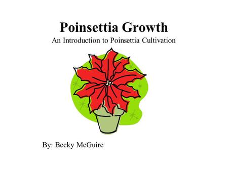 Poinsettia Growth An Introduction to Poinsettia Cultivation By: Becky McGuire.