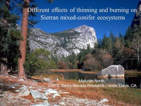 Different effects of thinning and burning on Sierran mixed-conifer ecosystems Malcolm North, USFS, Sierra Nevada Research Center, Davis, CA.