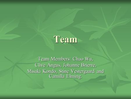 Team Team Members: Chao Wu, Clive Angus, Johanne Brierre, Misaki Kondo, Stine Vestergaard and Camilla Elming.